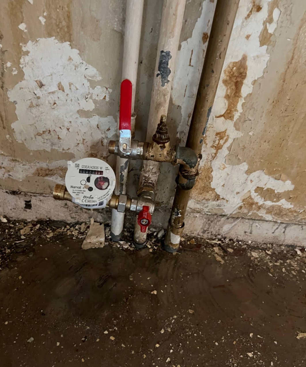 Conduite de la chaudière/alimentation en eau - Photo 5